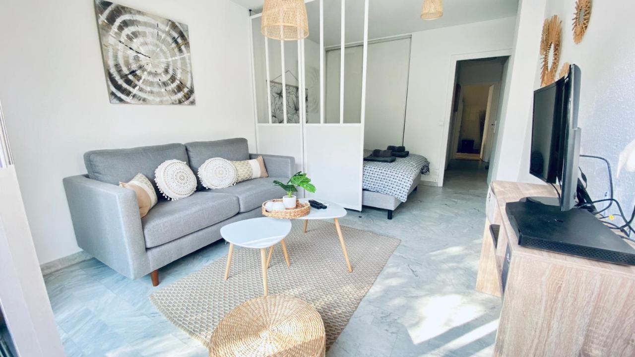 Apartment Le Chataignier Modern Center Parking Garden Antibes